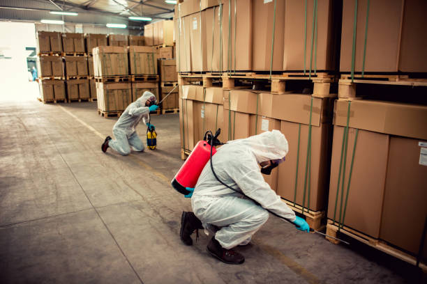 Best Pest Removal Services  in Niceville, FL