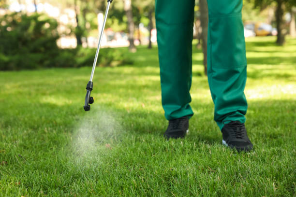 Wasp Removal Services in Niceville, FL