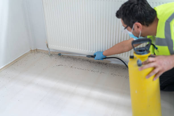 Best Best Pest Control Companies  in Niceville, FL